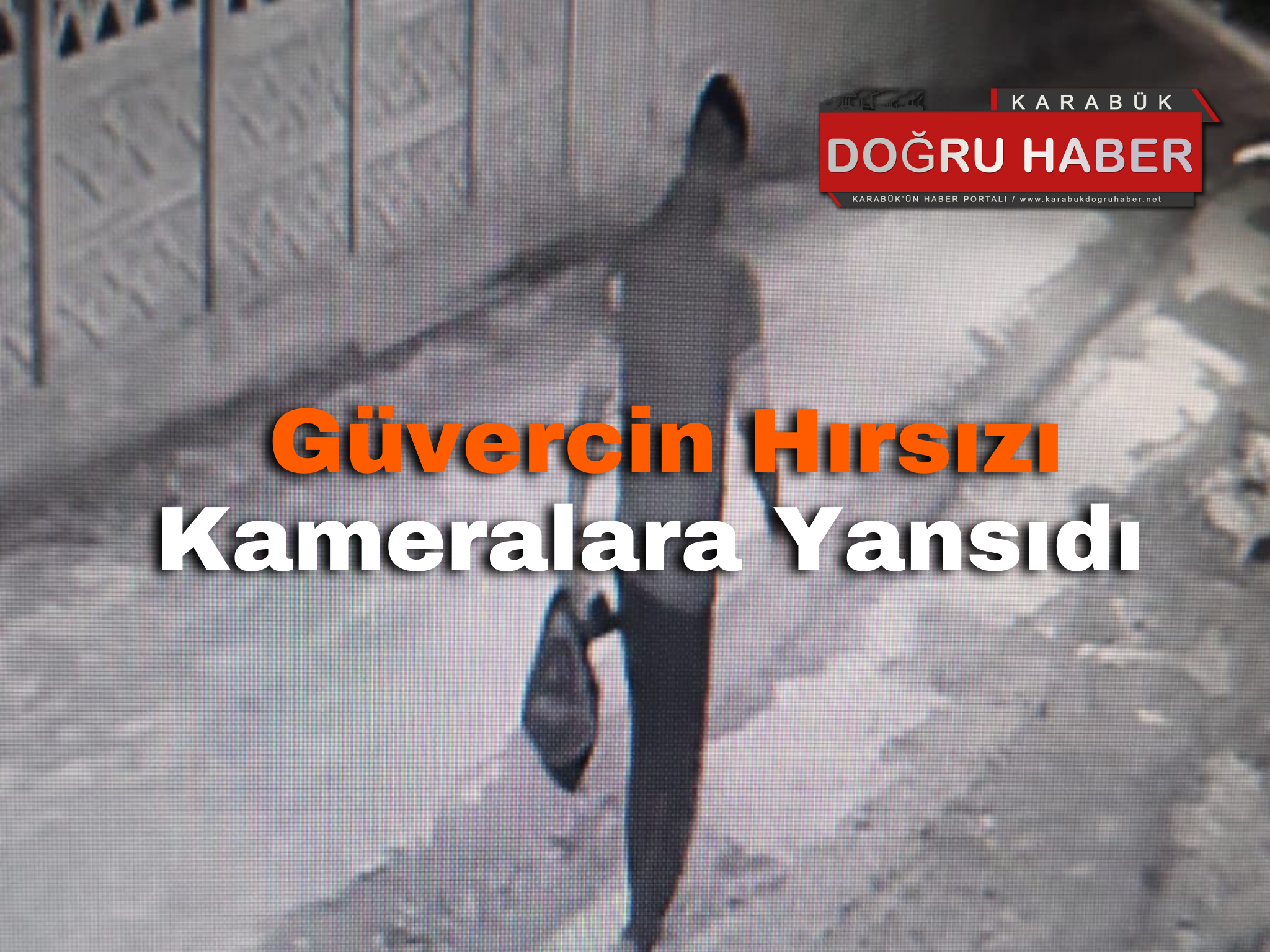 GÜVERCİN HIRSIZI KAMERALARA YANSIDI