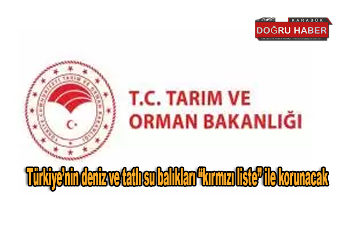 Türkiye’nin deniz ve tatlı su balıkları “kırmızı liste” ile korunacak