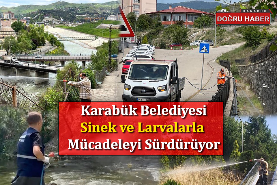 SİNEK VE LARVALARLA MÜCADELE DEVAM EDİYOR