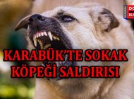 Karabük’te Sokak Köpeklerinin Saldırısına Uğrayan Kadın Yaralandı