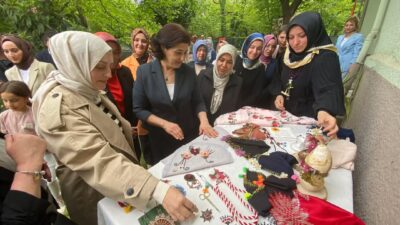 Karabük Valiliği himayelerinde yürütülen “İşte Birlik Güçte Birlik: Karabük, Kamu-STK
