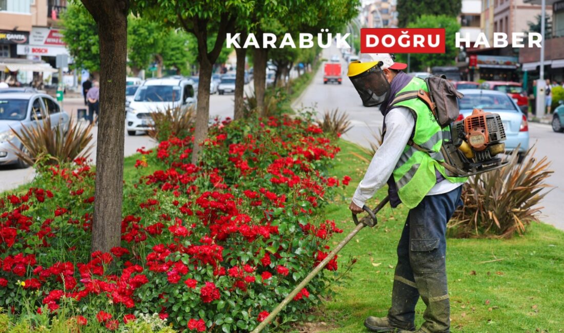 Safranbolu Belediyesi Yazıköy Uygulama ve Üretim Birimi tarafından, 2025 yılı