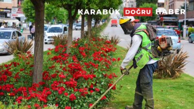 Safranbolu Belediyesi Yazıköy Uygulama ve Üretim Birimi tarafından, 2025 yılı