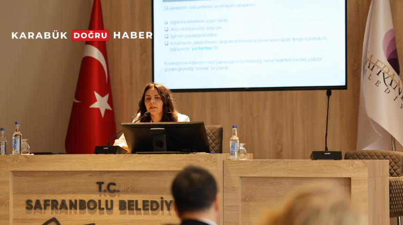 Safranbolu’da sit alanları ve etkileşim alanlarının sürdürülebilir bir koruma yaklaşımıyla