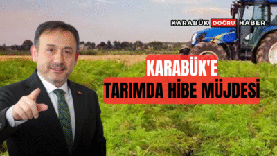 Karabük AK Parti Milletvekili Ali Keskinkılıç, Tarım ve Orman Bakanlığı