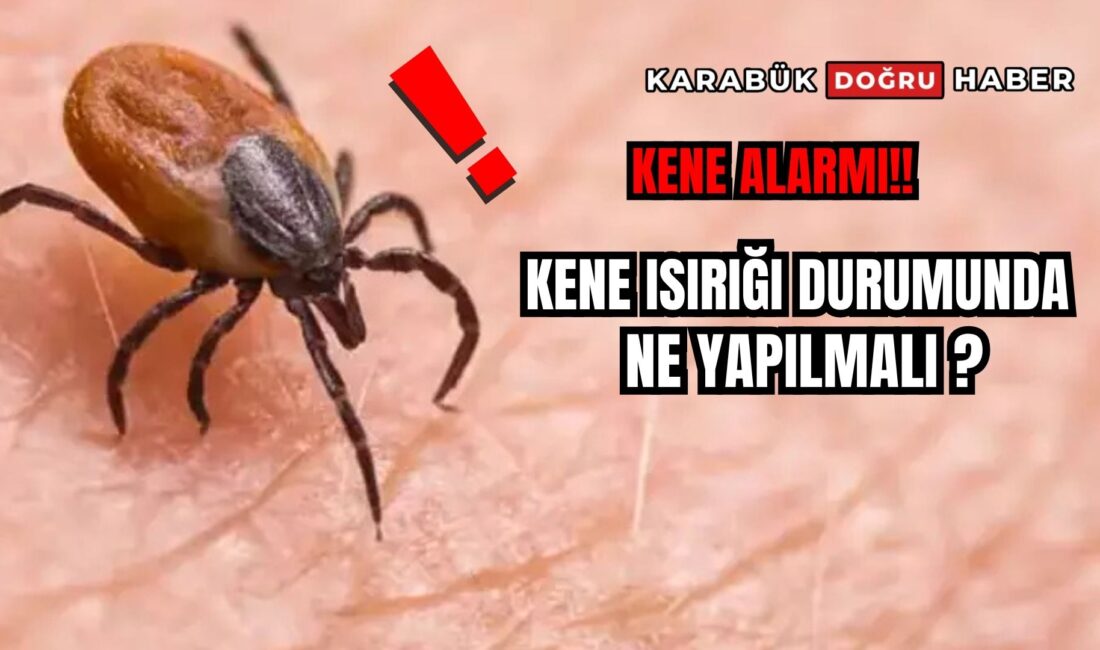 Zararsız kene ısırıkları çoğunlukla herhangi bir belirti oluşturmayabilir. Ancak kene
