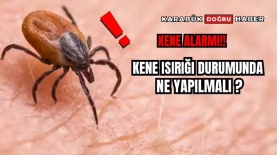Zararsız kene ısırıkları çoğunlukla herhangi bir belirti oluşturmayabilir. Ancak kene
