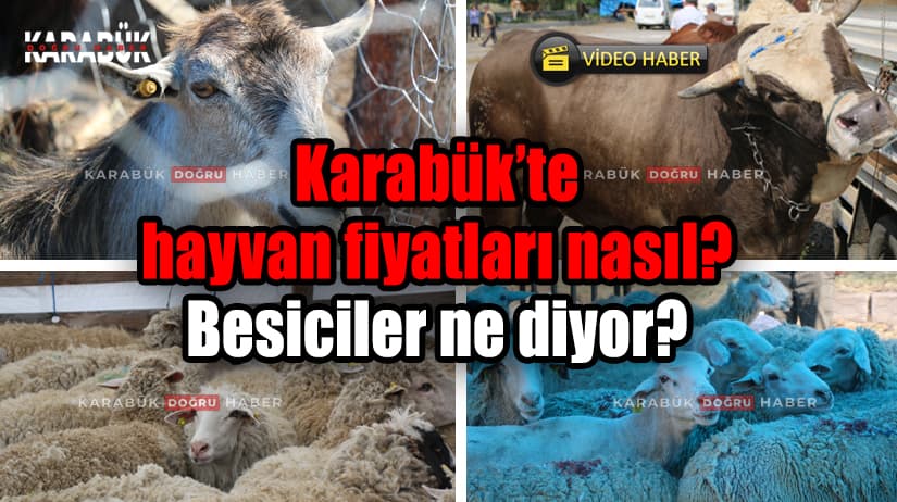 Karabük Doğru Haber olarak Karabük’te kurulan Kurbanlık Hayvan Pazarı’nda ortalama