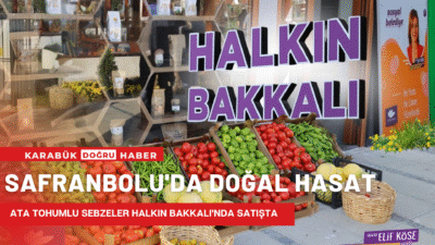 Safranbolu’da Tarladan Sofraya Doğal Üretim Hamlesi: Ata Tohumu Sebzeler Halkın