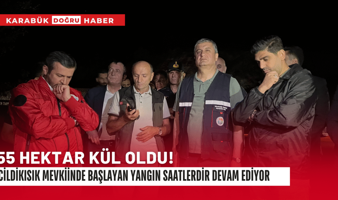 Cildikısık mevkiinde başlayan yangın saatlerdir devam ediyor. Devlet tüm gücüyle