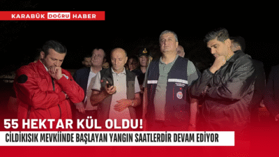 Cildikısık mevkiinde başlayan yangın saatlerdir devam ediyor. Devlet tüm gücüyle