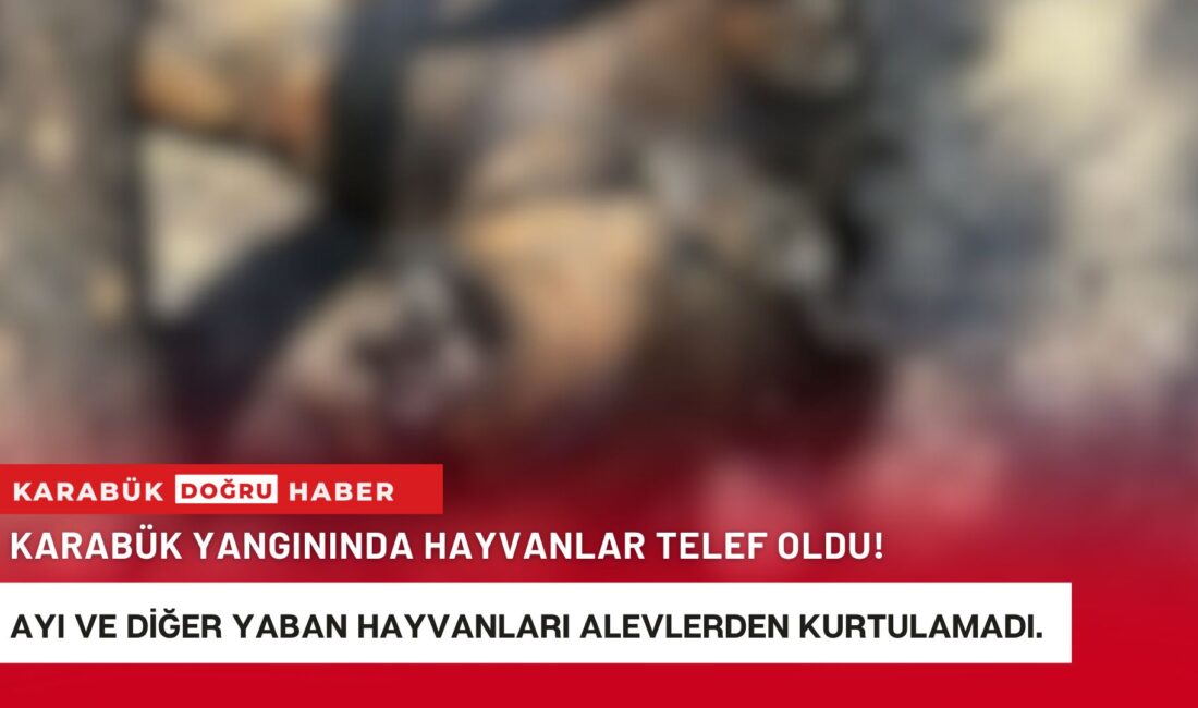 Karabük’te geçtiğimiz günlerde meydana gelen orman yangınlarında resmi açıklamalara göre