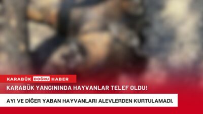 Karabük’te geçtiğimiz günlerde meydana gelen orman yangınlarında resmi açıklamalara göre