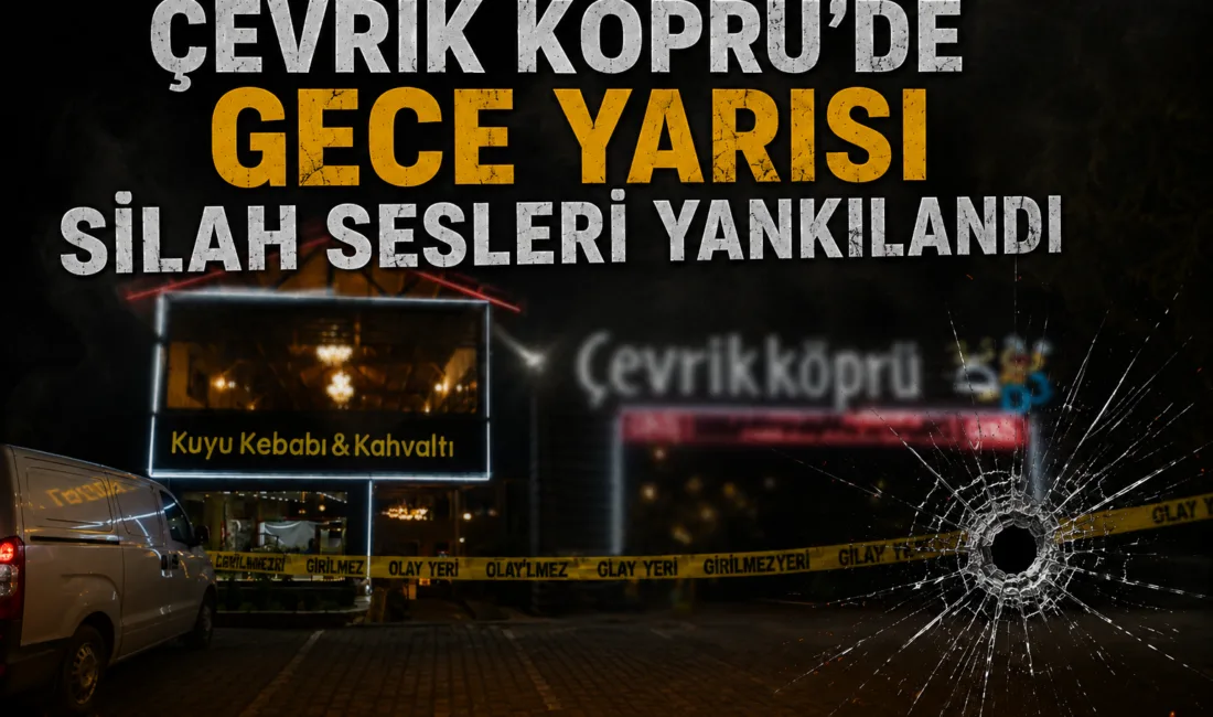 Karabük-Kastamonu kara yolu üzerinde bulunan Çevrikköprü mevkisinde gece saatlerinde yaşanan